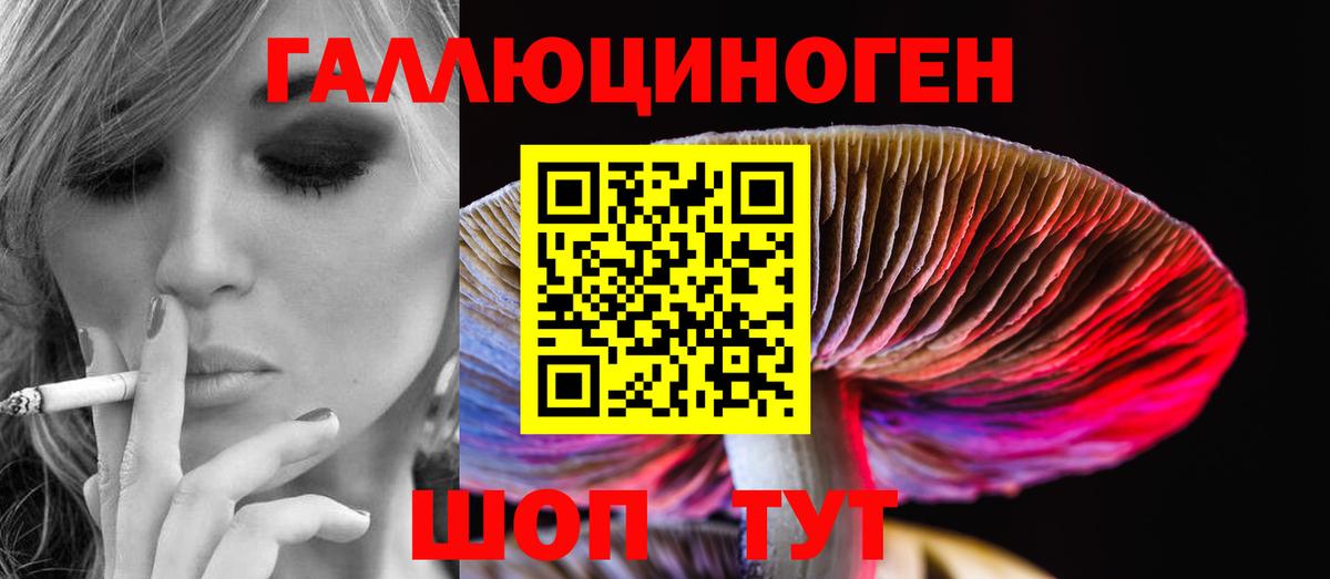 Галлюциногенные грибы MAGIC MUSHROOMS  Вход с VPN  Минусинск  Галлюциногенные грибы Cubensis 